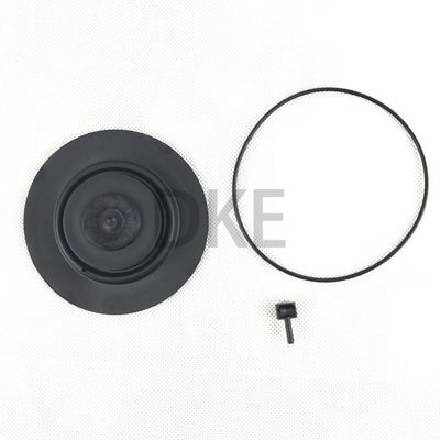 Kit de manutenção de válvulas de pulso RCAC25 Série T3, DD3, FS3
