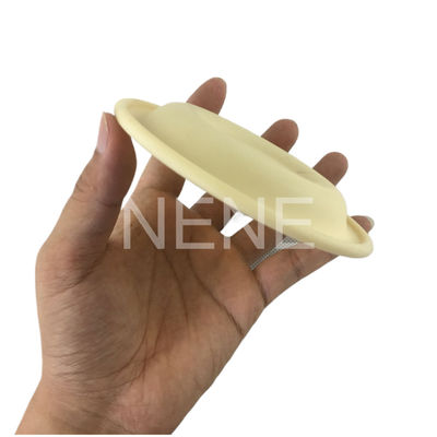 3/4 "Inch 93465 93111 DN20 Ingersoll Rand Pump Diafragmas Santoprene/PTFE Kit de Reparação de Diafragma PD07P-APS-PAA PD07P-APS-PTT