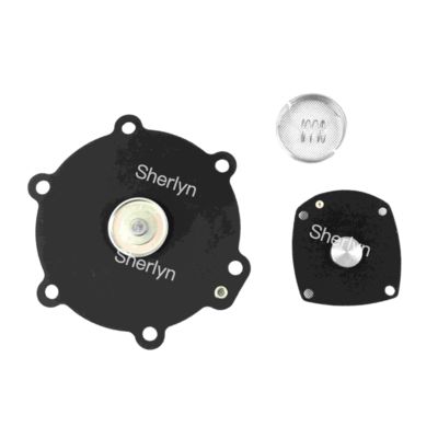 Kit de Reparo do Diafragma M50 Turbo 2" DN50 FP55 FM55 SQP50 SQM60