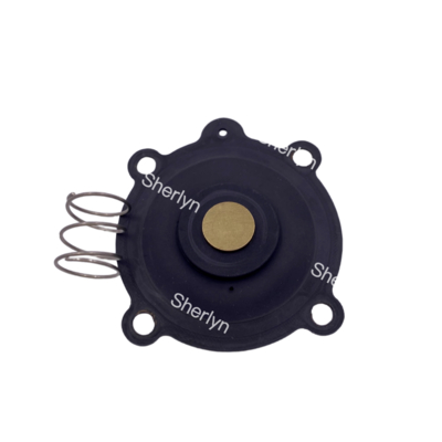 ASCO C131606 Kit de reparação do diafragma Adequado para SCE238D004 SCE238D009 Diafragma da válvula de água NBR/VITON