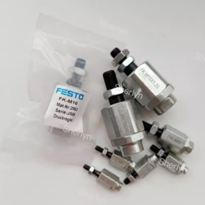 Junta Flutuante do Cilindro FESTO FK-M6x 1