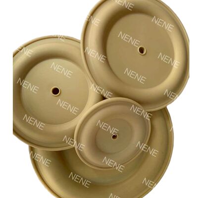 BSK Diaphragm Pump BSK-25/40/50/80 Pneumatic Diaphragm Pump Accessories Diaphragm