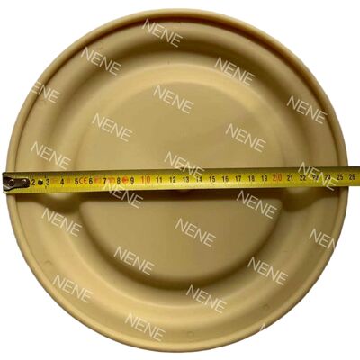 BSK Diaphragm Pump BSK-25/40/50/80 Pneumatic Diaphragm Pump Accessories Diaphragm