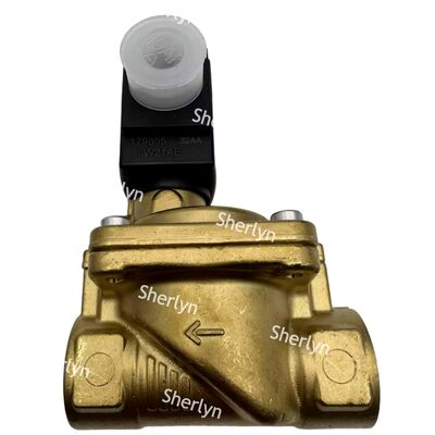 6281 Burkert Electron Magnetic Valve 00221931 G3/4 2/2 Normalmente aberto AC24V