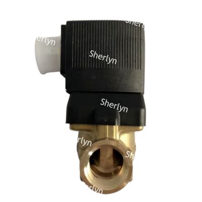 BURKERT 00221880 6281 Válvula solenóide G1 2/2 NC Válvula de controle de fluido de alta temperatura