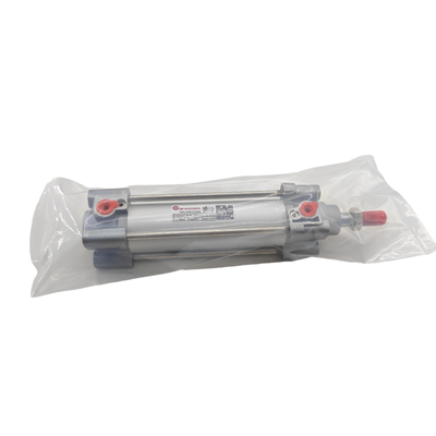 RA/802063/M/900 Actuador pneumático de longo curso de 900 mm resistente à corrosão