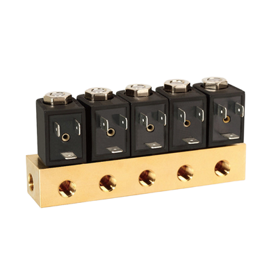 1/4' Port Size Pneumatic Solenoid Valve 1913BB302 Operação de Ação Direta Com Material de Selo FKM 2/2 Way Normalmente Aberto