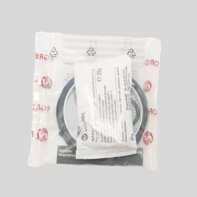 Kit de reparo de serviço de cilindros QA/8100/N1/00 Norgren 100mm Bore Sealing Accessory Assembly Desempenho estável de pressão para produção automatizada
