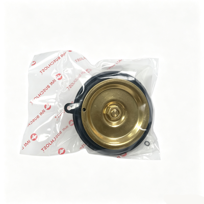 Buschjost Norgren 1256274.0000.00000 Kit de reparação de válvulas para a série 82400 / 82730 Piloto Indirecto válvula solenoide diafragma completo O anel de vedação Peças de substituição para manutenção do sistema de controle de fluidos