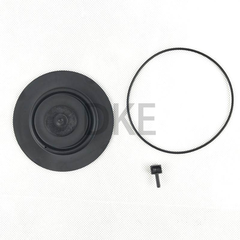 Kit de manutenção de válvulas de pulso RCAC25 Série T3, DD3, FS3