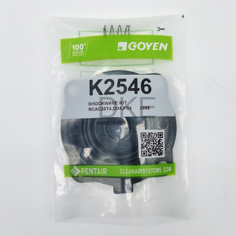 Kit de manutenção de válvulas de pulso RCAC25 série T3, DD3, FS3,