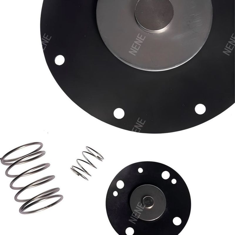 Kit de reparação de válvulas de pulso de 2 polegadas K5000 tipo Goyen CA50T/RCA50T/CA62T/RCA62T 2"