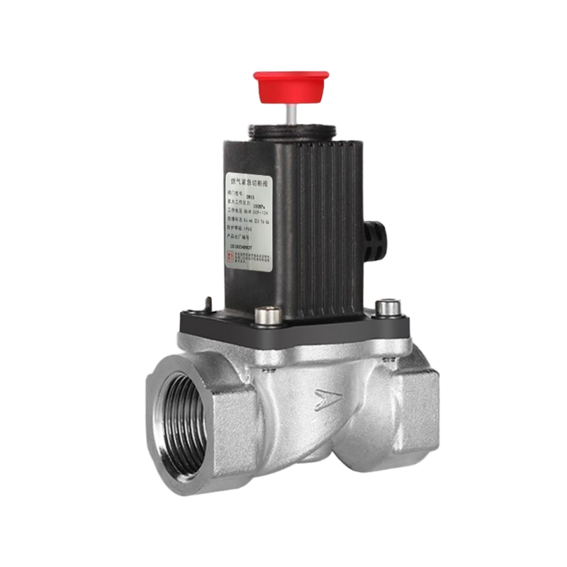 MQ-1/2-15 válvula solenoide 15mm Órbita Tamanho 1/2'' Port Tamanho NBR Diafragma AC220V 0,05 Mpa Corpo de aço inoxidável