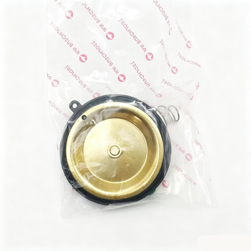 Buschjost Norgren 1256274.0000.00000 Kit de reparação de válvulas para a série 82400 / 82730 Piloto Indirecto válvula solenoide diafragma completo O anel de vedação Peças de substituição para manutenção do sistema de controle de fluidos